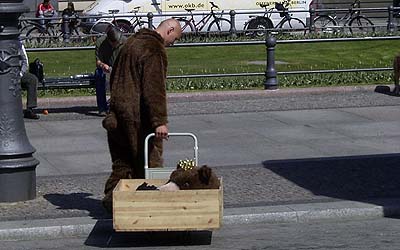 Den Berliner Bär gibt es wirklich! Hier ist er auf dem Heimweg...